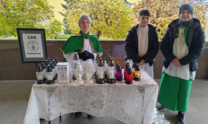 lso-akcja-znicz-26-10-2026